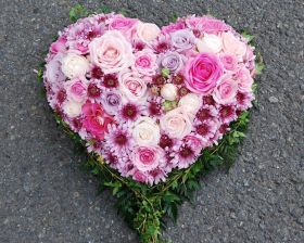 Hjerte Rosa Toner Roser Chrysantemum 02