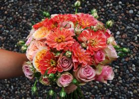 Rund brudebukett - Zinnea og roser i corallfarger 01
